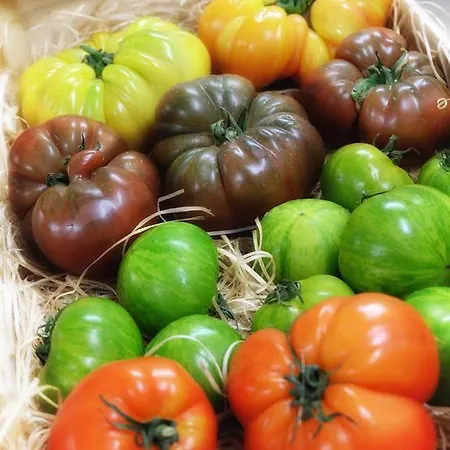 L'esplan 3* 圣保罗三堡